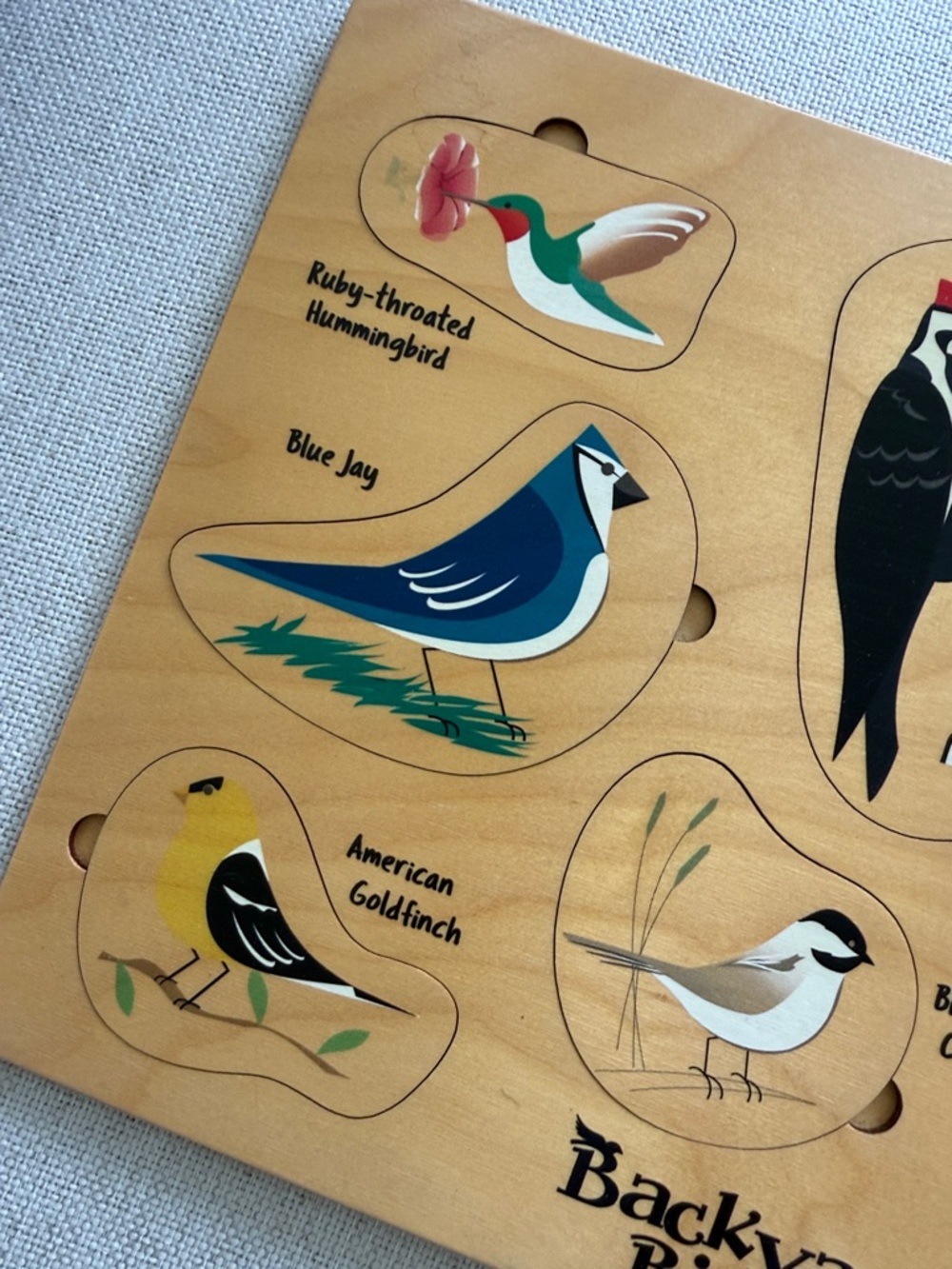 Maple Landmark Lift & Learn Backyard Birds Wooden Puzzle - Picture 2 of 11